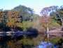 Suwannee River RV Lot